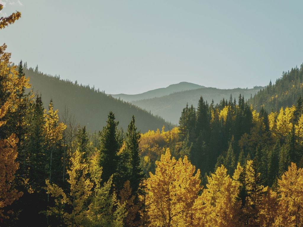 Men’s Fall Fashion 2021 Top Trends